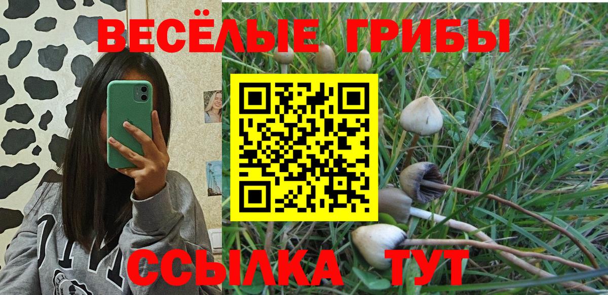 Йошкар-Ола  где купить наркоту  Вход с VPN  Псилоцибиновые грибы мухоморы 